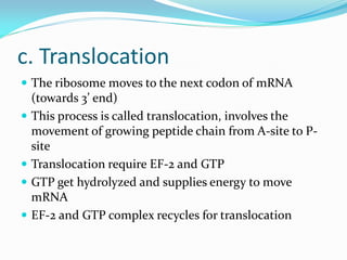 c. Translocation
 The ribosome moves to the next codon of mRNA
(towards 3’ end)
 This process is called translocation, involves the
movement of growing peptide chain from A-site to P-
site
 Translocation require EF-2 and GTP
 GTP get hydrolyzed and supplies energy to move
mRNA
 EF-2 and GTP complex recycles for translocation
 