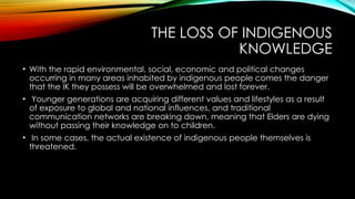 THE LOSS OF INDIGENOUS
KNOWLEDGE
• With the rapid environmental, social, economic and political changes
occurring in many areas inhabited by indigenous people comes the danger
that the IK they possess will be overwhelmed and lost forever.
• Younger generations are acquiring different values and lifestyles as a result
of exposure to global and national influences, and traditional
communication networks are breaking down, meaning that Elders are dying
without passing their knowledge on to children.
• In some cases, the actual existence of indigenous people themselves is
threatened.
 