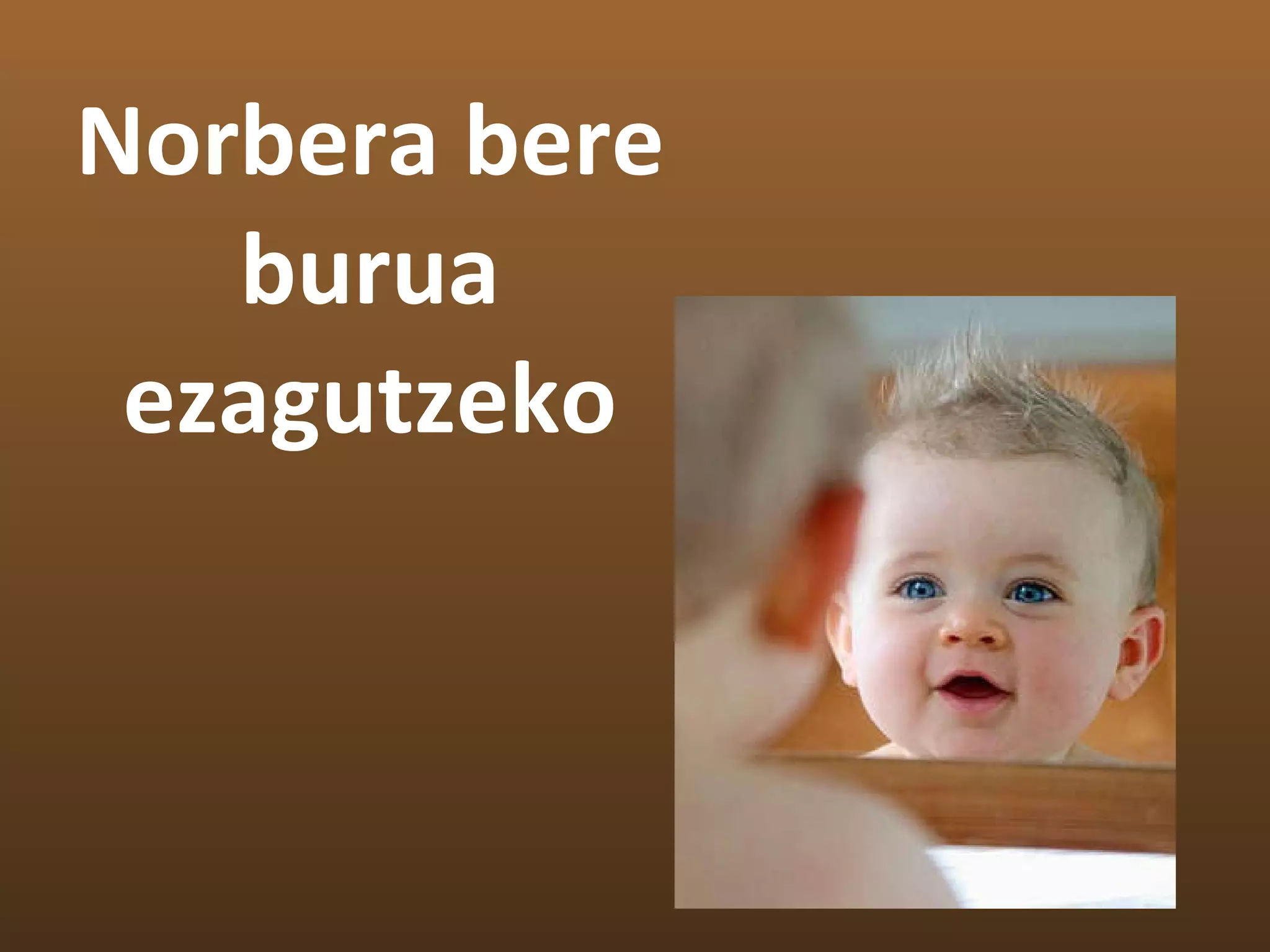 Norbera bere burua ezagutzeko 