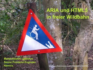 ARIA und HTML5
                            in freier Wildbahn




Martin Kliehm. @kliehm
Senior Frontend Engineer.
Namics.                      http://www.flickr.com/photos/73594239@N00/8937968/
 