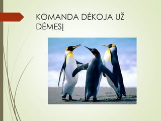 KOMANDA DĖKOJA UŽ
DĖMESĮ
 