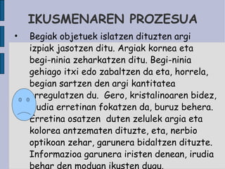 IKUSMENAREN PROZESUA Begiak objetuek islatzen dituzten argi izpiak jasotzen ditu. Argiak kornea eta begi-ninia zeharkatzen ditu. Begi-ninia gehiago itxi edo zabaltzen da eta, horrela, begian sartzen den argi kantitatea erregulatzen du.  Gero, kristalinoaren bidez, irudia erretinan fokatzen da, buruz behera. Erretina osatzen  duten zelulek argia eta kolorea antzematen dituzte, eta, nerbio optikoan zehar, garunera bidaltzen dituzte. Informazioa garunera iristen denean, irudia behar den moduan ikusten dugu. 