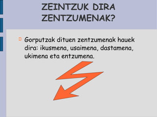 ZEINTZUK DIRA ZENTZUMENAK? Gorputzak dituen zentzumenak hauek dira: ikusmena, usaimena, dastamena, ukimena eta entzumena. 