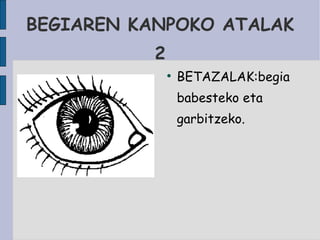 BEGIAREN KANPOKO ATALAK 2 BETAZALAK:begia babesteko eta garbitzeko. 