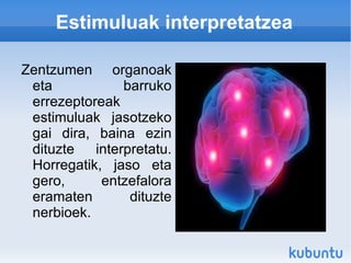 Dastamen papilak: dastamen papilak mihian daude eta horien bidez zaporeak antzematen dira. 