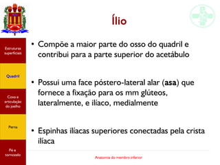 Anatomia do membro inferior
Ílio
●
Compõe a maior parte do osso do quadril e
contribui para a parte superior do acetábulo
●
Possui uma face póstero-lateral alar (asa) que
fornece a fixação para os mm glúteos,
lateralmente, e ilíaco, medialmente
●
Espinhas ilíacas superiores conectadas pela crista
ilíaca
Estruturas
superficiais
Quadril
Coxa e
articulação
do joelho
Perna
Pé e
tornozelo
 