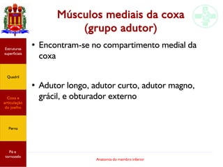 Anatomia do membro inferior
Músculos mediais da coxa
(grupo adutor)
● Encontram-se no compartimento medial da
coxa
●
Adutor longo, adutor curto, adutor magno,
grácil, e obturador externo
Estruturas
superficiais
Quadril
Coxa e
articulação
do joelho
Perna
Pé e
tornozelo
 