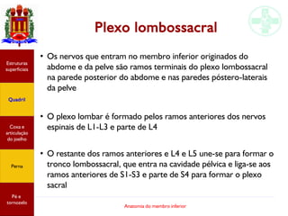 Anatomia do membro inferior
Plexo lombossacral
●
Os nervos que entram no membro inferior originados do
abdome e da pelve s...