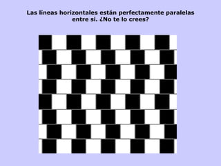 Las líneas horizontales están perfectamente paralelas entre si. ¿No te lo crees? 