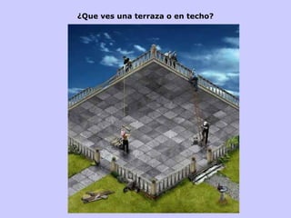 ¿Que ves una terraza o en techo? 