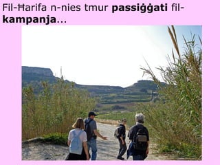 Fil-Ħarifa n-nies tmur  passiġġati  fil- kampanja ... 