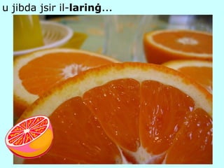 u jibda jsir il- larinġ ... 