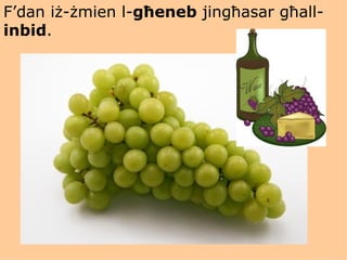 F’dan iż-żmien l- għeneb  jingħasar għall- inbid . 