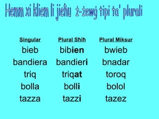 Hemm xi kliem li jieħu ż-żewġ tipi ta' plurali tazez tazz i tazza bolol boll i bolla toroq triq at triq bnadar bandier i bandiera bwieb bib ien bieb Plural Miksur Plural Sħiħ Singular 