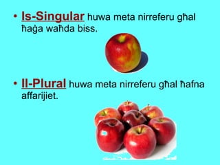 Is-Singular  huwa meta  nirreferu għal ħaġa waħda biss. Il-Plural  huwa meta nirreferu għal ħafna affarijiet. 