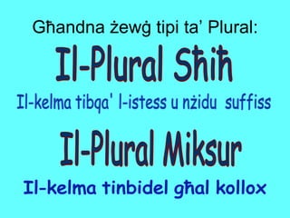 Għandna żewġ tipi ta’ Plural: Il-Plural Sħiħ Il-Plural Miksur Il-kelma tibqa' l-istess u nżidu  suffiss Il-kelma tinbidel għal kollox 