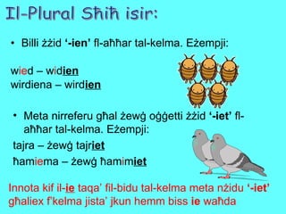Billi żżid  ‘-ien’  fl-aħħar tal-kelma. Eżempji: w ie d – w i d ien wirdiena – wird ien Meta nirreferu għal żewġ oġġetti żżid  ‘-iet’  fl-aħħar tal-kelma. Eżempji: tajra – żewġ tajr iet ħam ie ma – żewġ ħam i m iet Il-Plural Sħiħ isir: Innota kif il- ie  taqa’ fil-bidu tal-kelma meta nżidu  ‘-iet’  għaliex f’kelma jista’ jkun hemm biss  ie  waħda 
