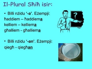 Billi nżidu  ‘-a’ . Eżempji: ħaddiem – ħaddiem a kelliem – kelliem a għalliem - għalliem a Il-Plural Sħiħ isir: Billi nżidu  ‘-an’ . Eżempji: qiegħ - qiegħ an 