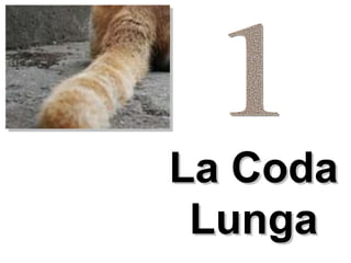La Coda Lunga 1 