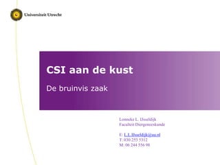 CSI aan de kust
De bruinvis zaak
Lonneke L. IJsseldijk
Faculteit Diergeneeskunde
E: L.L.IJsseldijk@uu.nl
T: 030 253 5312
M: 06 244 556 98
 