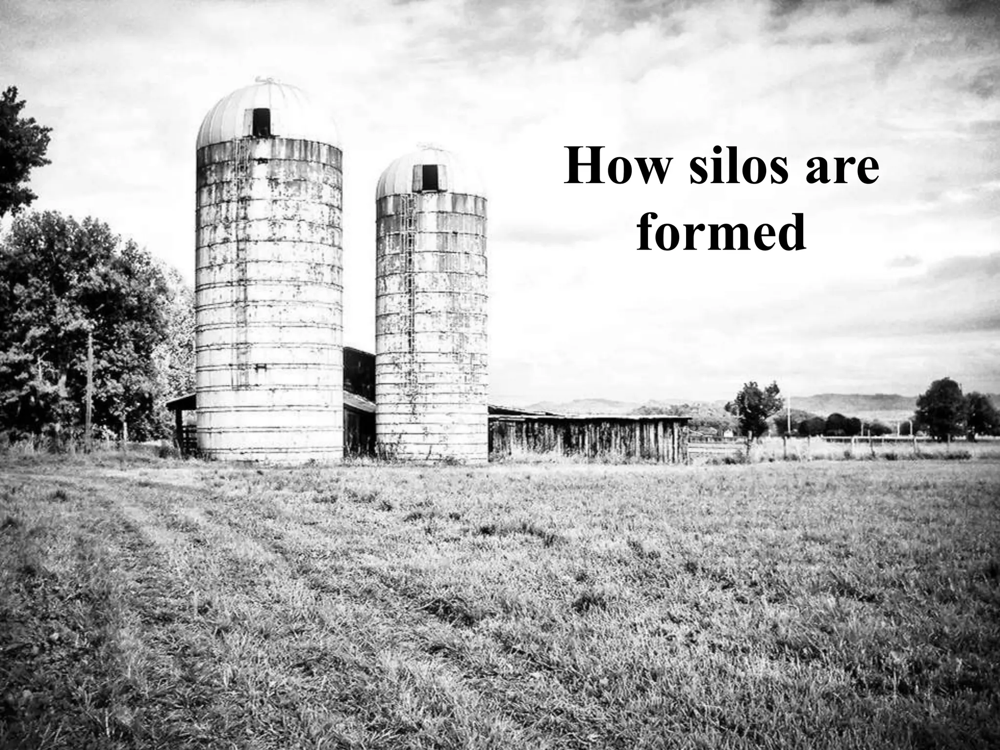 How silos are
formed
 