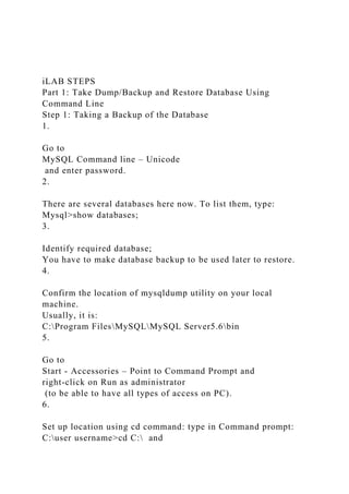 iLAB OVERVIEWScenario and SummarySuccessful database recovery re.docx