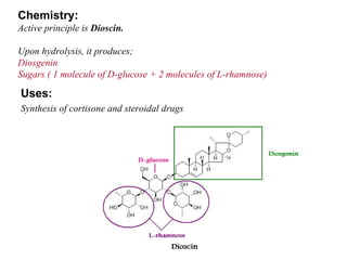Chemistry: Active principle is  Dioscin. Upon hydrolysis, it produces; Diosgenin Sugars ( 1 molecule of D-glucose + 2 molecules of L-rhamnose) Uses: Synthesis of cortisone and steroidal drugs 
