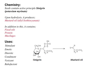 Chemistry: Seeds contain active principle  Sinigrin (potassium myrinate) Upon hydrolysis, it produces; Mustard oil (allyl Isothiocyanate) In addition to this, it contains; Fixed oils Protein Mucilages Uses: Stimulant Emetic Diuretic Condiment Vesicant Rubefacient 