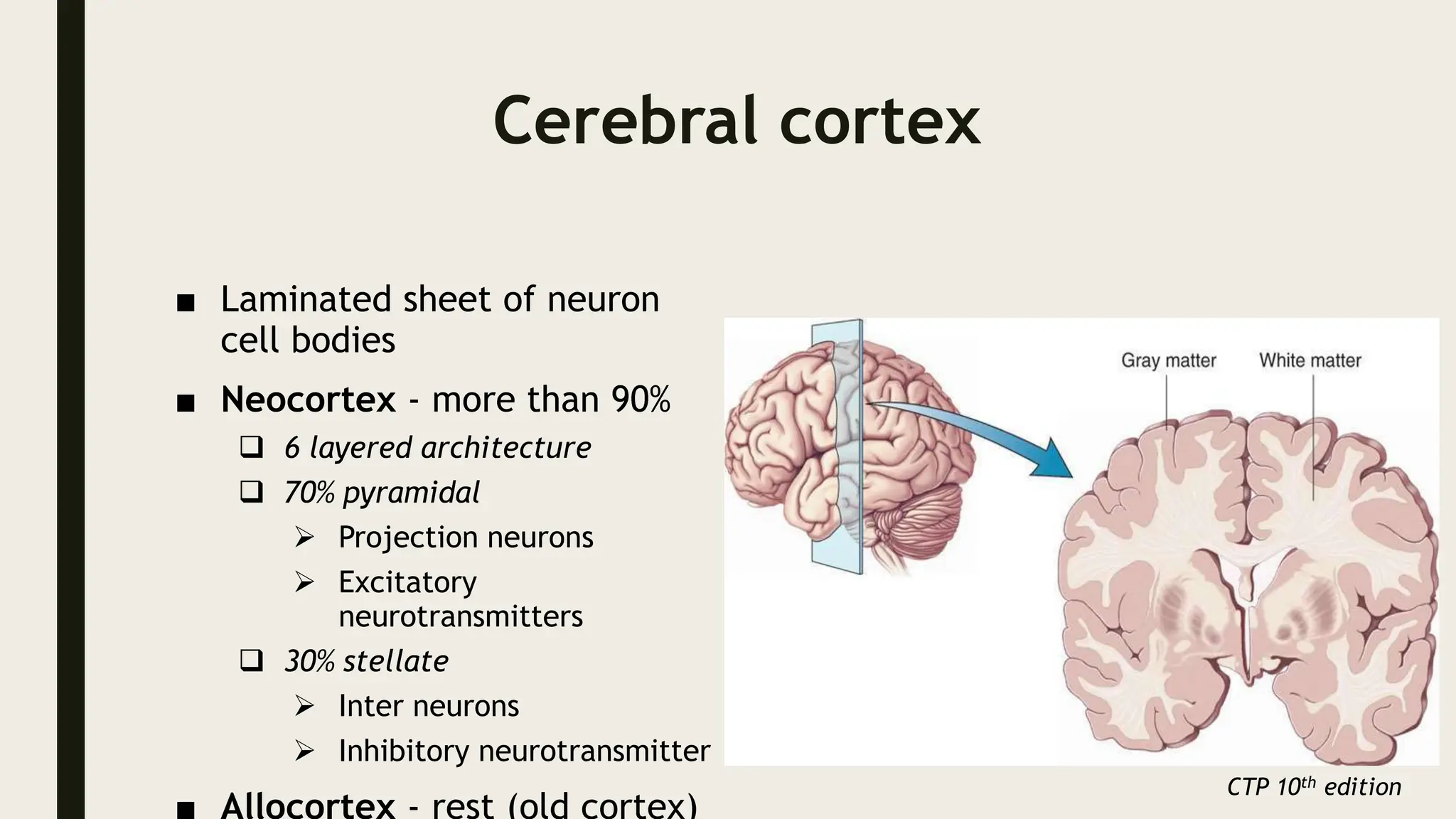 Cerebral cortex
■ Laminated sheet of neuron
cell bodies
■ Neocortex - more than 90%
 6 layered architecture
 70% pyramidal
 Projection neurons
 Excitatory
neurotransmitters
 30% stellate
 Inter neurons
 Inhibitory neurotransmitter
■ Allocortex - rest (old cortex)
CTP 10th edition
 