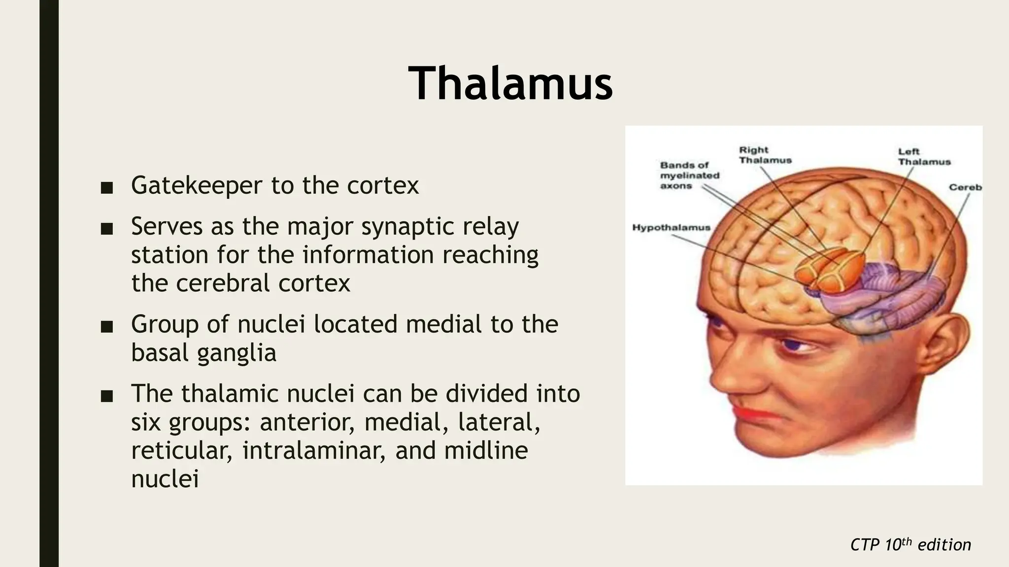 Thalamus
■ Gatekeeper to the cortex
■ Serves as the major synaptic relay
station for the information reaching
the cerebral cortex
■ Group of nuclei located medial to the
basal ganglia
■ The thalamic nuclei can be divided into
six groups: anterior, medial, lateral,
reticular, intralaminar, and midline
nuclei
CTP 10th edition
 