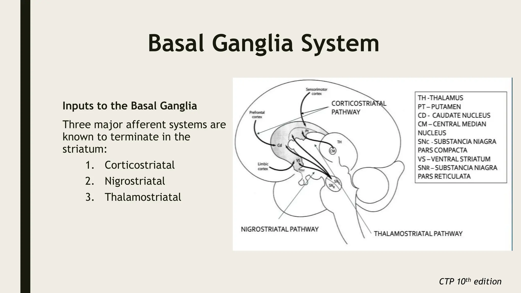 Basal Ganglia System
Inputs to the Basal Ganglia
Three major afferent systems are
known to terminate in the
striatum:
1. Corticostriatal
2. Nigrostriatal
3. Thalamostriatal
CTP 10th edition
 
