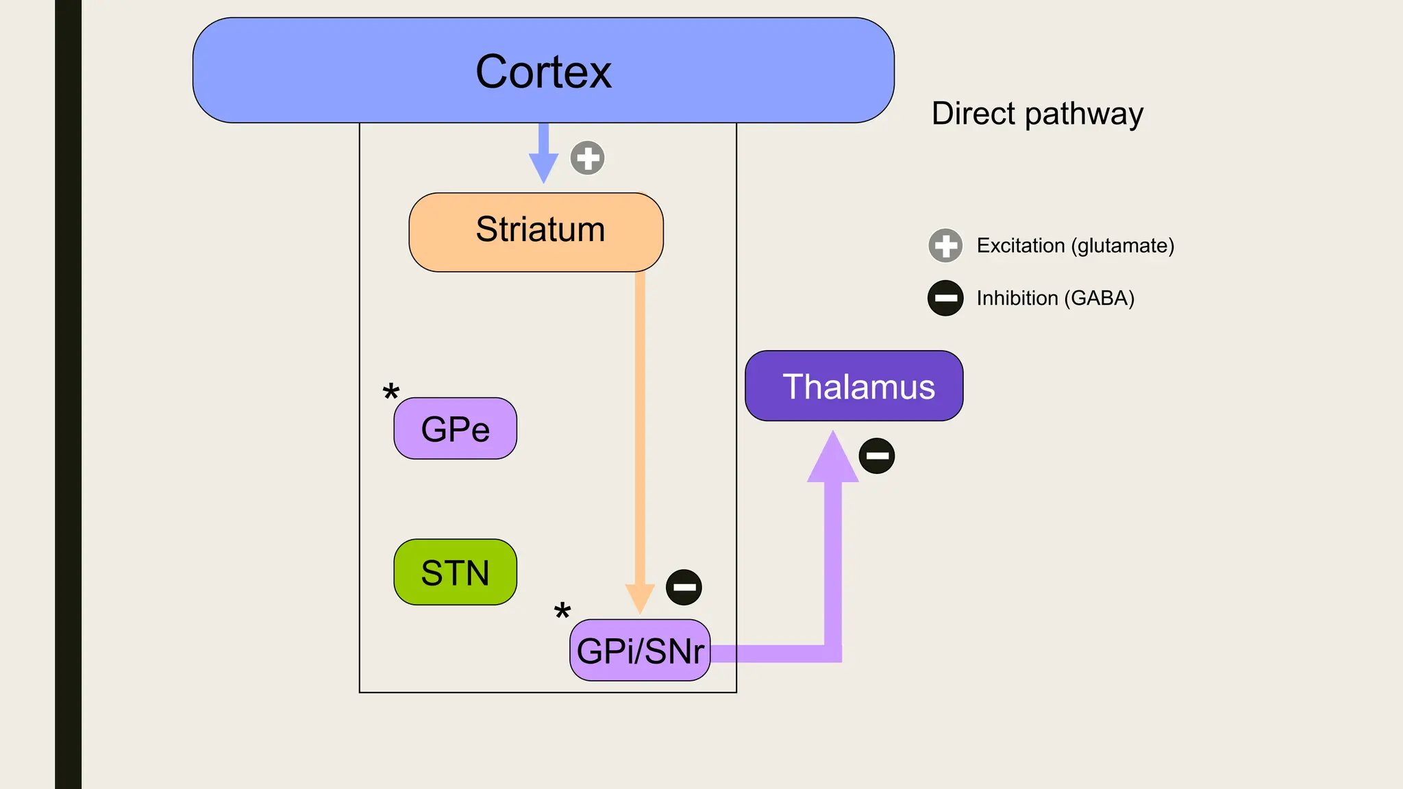 Cortex
Thalamus
GPi/SNr
Striatum
*
GPe
STN
*
Direct pathway
Excitation (glutamate)
Inhibition (GABA)
 