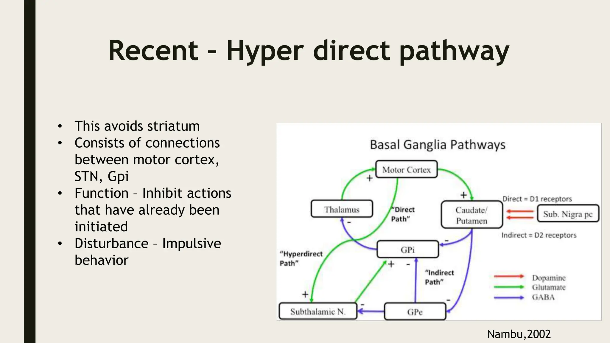 Recent – Hyper direct pathway
• This avoids striatum
• Consists of connections
between motor cortex,
STN, Gpi
• Function – Inhibit actions
that have already been
initiated
• Disturbance – Impulsive
behavior
Nambu,2002
 
