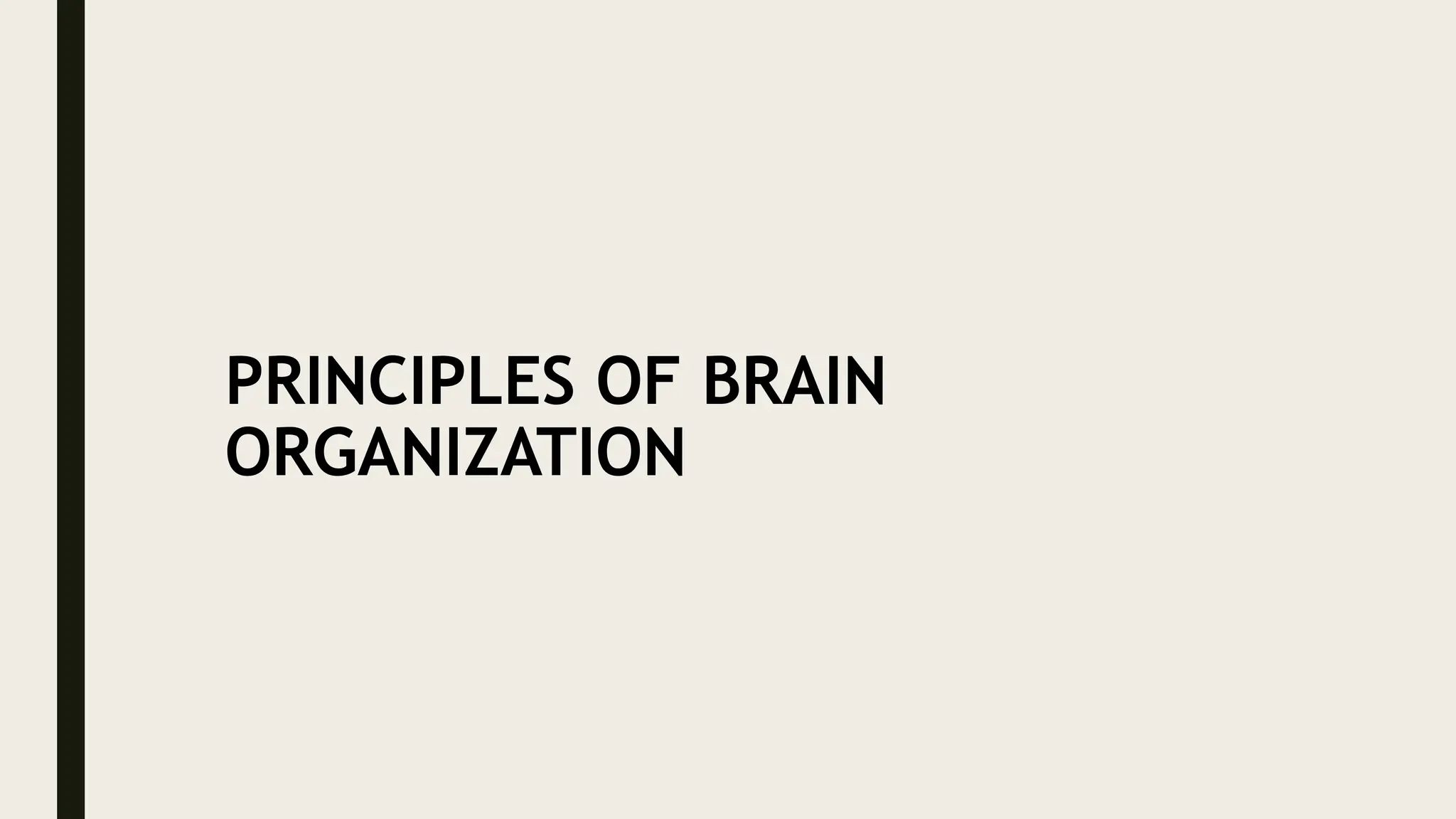 PRINCIPLES OF BRAIN
ORGANIZATION
 