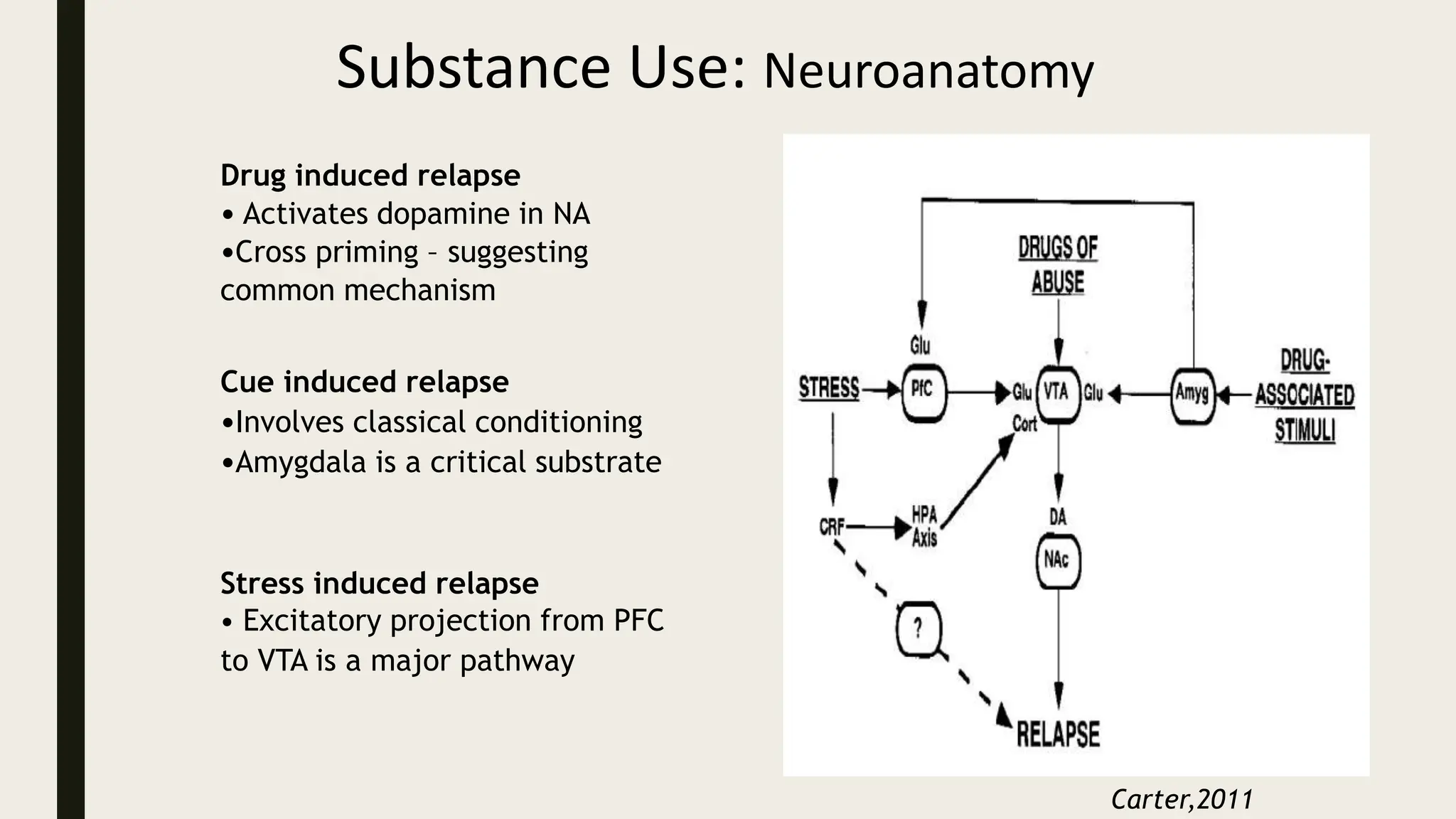 Substance Use: Neuroanatomy
Drug induced relapse
• Activates dopamine in NA
•Cross priming – suggesting
common mechanism
Cue induced relapse
•Involves classical conditioning
•Amygdala is a critical substrate
Stress induced relapse
• Excitatory projection from PFC
to VTA is a major pathway
Carter,2011
 