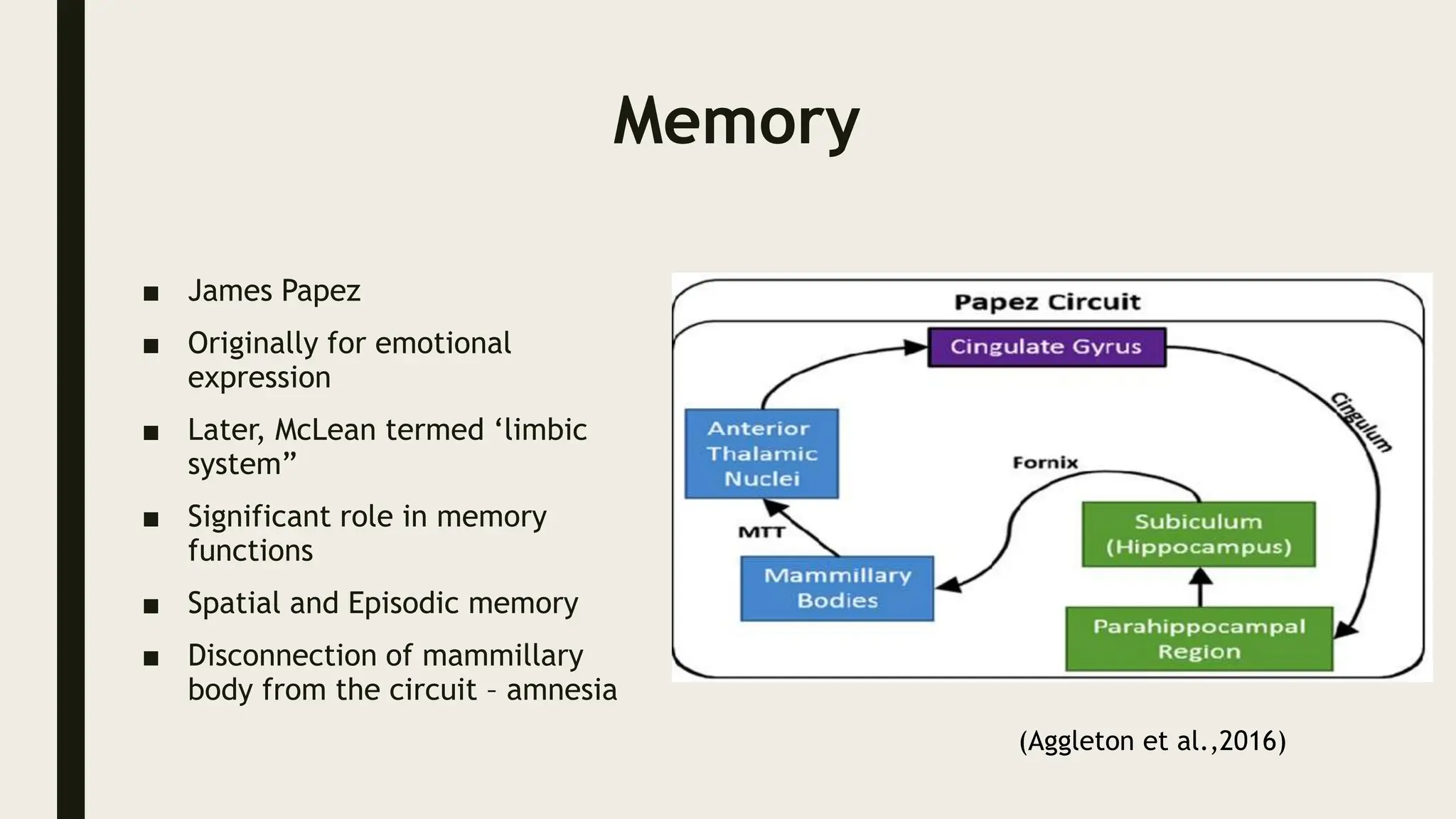 Memory
■ James Papez
■ Originally for emotional
expression
■ Later, McLean termed ‘limbic
system”
■ Significant role in memory
functions
■ Spatial and Episodic memory
■ Disconnection of mammillary
body from the circuit – amnesia
(Aggleton et al.,2016)
 