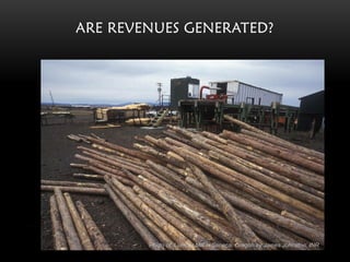 ARE REVENUES GENERATED?




        Photo of Lumber Mill in Seneca, Oregon by James Johnston, INR
 