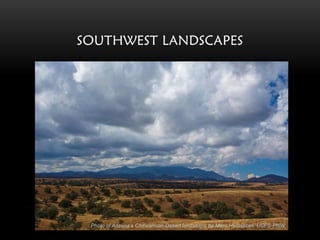 SOUTHWEST LANDSCAPES




 Photo of Arizona’s Chihuahuan Desert landscape by Miles Hemstrom, USFS-PNW
 