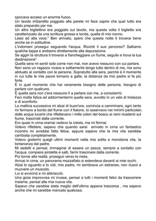spiccava acceso un enorme fuoco.
Un tavolo imbandito poggiato alla parete mi fece capire che quel tutto era
stato preparato per me.
Un altro bigliettino era poggiato sul tavolo, ma questa volta il biglietto era
caratterizzato da una scrittura grossa e tonda, quella di mio nonno.
Lessi ad alta voce:” Ben arrivato, spero che questa notte ti troverai bene
anche se in solitudine.
L'indomani prosegui seguendo l'acqua. Ricordi il suo percorso? Saltiamo
qualche tappa e andiamo direttamente alla depurazione.
Se aggiri la struttura ti troverai a fiancheggiare un fiume, seguilo e trova la tua
destinazione”.
Quella sera mi sentii solo come non mai, non avevo nessuno con cui parlare.
Non sono un ragazzo vivace e solitamente tengo tutto dentro di me, ma sono
abituato al contatto con le persone. Sopratutto alla sera, perché è il momento
in cui tutte le mie paure tornano a galla, la distanza da mio padre si fa più
forte.
È in quel momento che hai veramente bisogno delle persone, bisogno di
parlare con qualcuno.
È quella sera non c'era nessuno lì a parlare con me, a consolarmi.
Feci molta fatica ad addormentarmi quella sera, avvolto in un velo di tristezza
e di sconforto.
La mattina successiva mi alzai di buon'ora, comincia a camminare, ogni tanto
mi fermavo a bordo del fiume con il fiatone, lo osservavo nei minimi particolari,
dalle acque lucenti che riflettevano i mille colori del bosco ai rami ricadenti sul
fiume, trascinati dalla corrente.
Ero quasi in cima oramai vedevo la cresta, ma mi fermai.
Volevo riflettere, sapevo che quando sarei arrivato in cima un fantastico
incontro mi avrebbe fatto felice, eppure sapevo che la mia vita sarebbe
cambiata completamente.
Volevo godermi quegli ultimi momenti nella mia solita e monotona vita, la
lontananza dal padre.
Mi sedetti e pensai; immaginai di essere un pesce, sempre a contatto con
l'acqua, compiere pirolette e salti, farmi trascinare dalla corrente.
Poi tornai alla realtà, proseguii verso la meta.
Arrivai in cima, un panorama mozzafiato si estendeva davanti ai miei occhi.
Alzai lo sguardo e lo vidi, mio padre, mi sembrava un estraneo, non riuscii a
muovere un muscolo.
Lui si avvicinò e mi abbracciò.
Una gioia improvvisa mi invase, pensai a tutti i momenti felici da trascorrere
insieme, pensai alla mia nuova vita.
Sapevo che sarebbe stata meglio dell'ultima appena trascorsa , ma sapevo
anche che mi sarebbe mancato qualcosa.
 