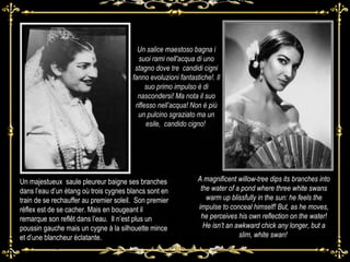 Un salice maestoso bagna i suoi rami nell'acqua di uno stagno dove tre  candidi cigni fanno evoluzioni fantastiche!. Il suo primo impulso è di nascondersi! Ma nota il suo riflesso nell’acqua! Non è più un pulcino sgraziato ma un esile,  candido cigno!  A magnificent willow-tree dips its branches into the water of a pond where three white swans warm up blissfully in the sun: he feels the impulse to A magnificent willow-tree dips its branches into the water of a pond where three white swans warm up blissfully in the sun: he feels the impulse to conceal himself! But, as he moves, he perceives his own reflection on the water! He isn ’ t an awkward chick any longer, but a slim, white swan! Much more good-looking than the other three who approach him and pay homage to him! conceal himself! But, as he moves, he perceives his own reflection on the water! He isn ’ t an aw A m A magnificent willow-tree dips its branches into the water of a pond where three white swans warm up blissfully in the sun: he feels the impulse to conceal himself! But, as he moves, he perceives his own reflection on the water! He isn ’ t an awkward chick any longer, but a slim, white swan! Much more good-looking than the other three who  Un majestueux  saule pleureur baigne ses branches dans l’eau d’un étang où trois cygnes blancs sont en train de se rechauffer au premier soleil.  Son premier réflex est de se cacher. Mais en bougeant il remarque son reflêt dans l’eau.  Il n’est plus un poussin gauche mais un cygne à la silhouette mince et d’une blancheur éclatante.  A magnificent willow-tree dips its branches into the water of a pond where three white swans warm up blissfully in the sun: he feels the impulse to conceal himself! But, as he moves, he perceives his own reflection on the water! He isn’t an awkward chick any longer, but a slim, white swan!  