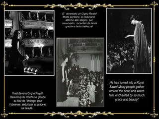 E’  diventato un Cigno Reale!Molte persone, si radunano  attorno allo stagno  per  osservarlo,  incantati da tanta grazia e tanta bellezza!  Il est devenu Cygne Royal!  Beaucoup de monde se groupe au tour de l’étranger pour l’observer, séduit par sa grâce et sa beauté.  He has turned into a Royal Sawn! Many people gather around the pond and watch him, enchanted by so much grace and beauty! 