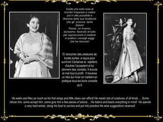 Vuole una sola cosa al mondo! Imparare a volare più in alto possibile e liberarsi della sua bruttezza che gli  procura  tanto dolore! Passa  un inverno durissimo, facendo di tutto per sopravvivere e mettere in pratica i consigli saggi che ha ricevuto! .  He walks and flies as much as his frail wings and little claws can afford! He meets lots of creatures of all kinds … Some refuse him, some accept him, some give him a few pieces of advice… He listens and bears everything in mind!  He spends a very hard winter, doing his best to survive and put into practice the wise suggestions received!  Il  rencontre des créatures de toutes sortes. a reçus pour survivre! Certaines le  rejettent, d’autres l’acceptent et lui donnent des conseils. Il écoute et met tout à profit.  Il traverse un très dur hiver en mettant en pratique tous les bons conseils qu’i l 