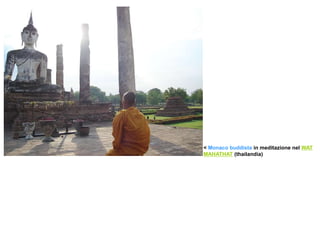 <Monaco buddista in meditazione nel WAT MAHATHAT (thailandia)‏