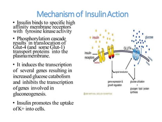 Mechanismof InsulinAction
• Insulin binds to specific high
affinity membrane receptors
with tyrosine kinaseactivity
• Phosphorylation cascade
results in translocation of
Glut-4 (and some Glut-1)
transport proteins into the
plasmamembrane.
• It induces the transcription
of several genes resulting in
increased glucosecatabolism
and inhibits the transcription
ofgenes involved in
gluconeogenesis.
• Insulin promotes the uptake
ofK+ into cells.
 