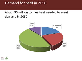 The emerging middle class and  the world market for beef