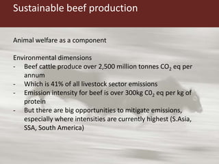 The emerging middle class and  the world market for beef