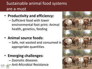 The emerging middle class and  the world market for beef