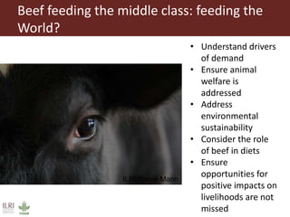The emerging middle class and  the world market for beef