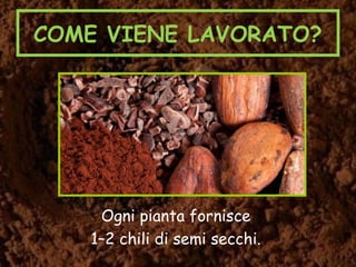 COME VIENE LAVORATO?
Ogni pianta fornisce
1–2 chili di semi secchi.
 