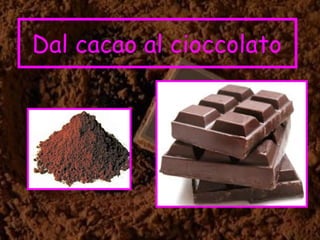 Dal cacao al cioccolato
 